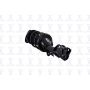 FCS Struts 2333745R Suspension Strut and Coil Spring Assembly