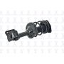 FCS Struts 2333748R Suspension Strut and Coil Spring Assembly