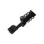 FCS Struts 2333750 Suspension Strut and Coil Spring Assembly