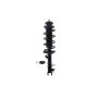 FCS Struts 2333751L Suspension Strut and Coil Spring Assembly