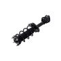 FCS Struts 2333790L Suspension Strut and Coil Spring Assembly