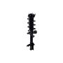 FCS Struts 2333790L Suspension Strut and Coil Spring Assembly