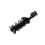 FCS Struts 2333790R Suspension Strut and Coil Spring Assembly
