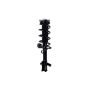 FCS Struts 2333790R Suspension Strut and Coil Spring Assembly