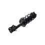 FCS Struts 2333790R Suspension Strut and Coil Spring Assembly
