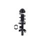 FCS Struts 2333823L Suspension Strut and Coil Spring Assembly