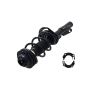 FCS Struts 2333823L Suspension Strut and Coil Spring Assembly