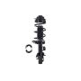 FCS Struts 2333823R Suspension Strut and Coil Spring Assembly