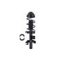 FCS Struts 2333823R Suspension Strut and Coil Spring Assembly