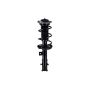 FCS Struts 2333841L Suspension Strut and Coil Spring Assembly