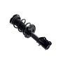 FCS Struts 2333841L Suspension Strut and Coil Spring Assembly