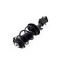 FCS Struts 2333841R Suspension Strut and Coil Spring Assembly