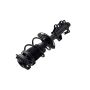 FCS Struts 2333842L Suspension Strut and Coil Spring Assembly