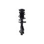 FCS Struts 2333842L Suspension Strut and Coil Spring Assembly