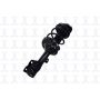 FCS Struts 2333923R Suspension Strut and Coil Spring Assembly