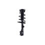 FCS Struts 2333926L Suspension Strut and Coil Spring Assembly