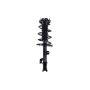 FCS Struts 2333926L Suspension Strut and Coil Spring Assembly