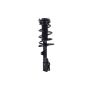 FCS Struts 2333926R Suspension Strut and Coil Spring Assembly