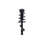 FCS Struts 2333926R Suspension Strut and Coil Spring Assembly
