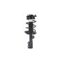 FCS Struts 2333942L Suspension Strut and Coil Spring Assembly