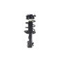 FCS Struts 2333942R Suspension Strut and Coil Spring Assembly