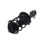FCS Struts 2333942R Suspension Strut and Coil Spring Assembly