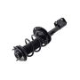 FCS Struts 2333945R Suspension Strut and Coil Spring Assembly