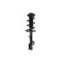 FCS Struts 2333945R Suspension Strut and Coil Spring Assembly