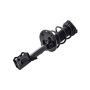 FCS Struts 2333945R Suspension Strut and Coil Spring Assembly