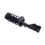 FCS Struts 2333969L Suspension Strut and Coil Spring Assembly