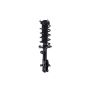 FCS Struts 2333969R Suspension Strut and Coil Spring Assembly