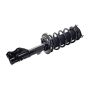 FCS Struts 2333969R Suspension Strut and Coil Spring Assembly