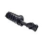 FCS Struts 2333969R Suspension Strut and Coil Spring Assembly