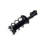 FCS Struts 2334051L Suspension Strut and Coil Spring Assembly