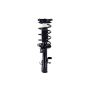 FCS Struts 2334053L Suspension Strut and Coil Spring Assembly