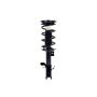 FCS Struts 2334053L Suspension Strut and Coil Spring Assembly