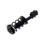 FCS Struts 2334053L Suspension Strut and Coil Spring Assembly