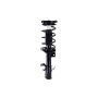 FCS Struts 2334053R Suspension Strut and Coil Spring Assembly