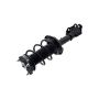 FCS Struts 2334069R Suspension Strut and Coil Spring Assembly