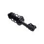 FCS Struts 2334069R Suspension Strut and Coil Spring Assembly
