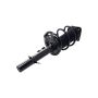 FCS Struts 2334112R Suspension Strut and Coil Spring Assembly