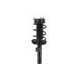 FCS Struts 2334303L Suspension Strut and Coil Spring Assembly