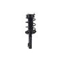 FCS Struts 2334303R Suspension Strut and Coil Spring Assembly