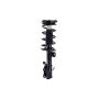 FCS Struts 2334485L Suspension Strut and Coil Spring Assembly