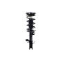FCS Struts 2334485L Suspension Strut and Coil Spring Assembly