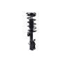 FCS Struts 2334485R Suspension Strut and Coil Spring Assembly