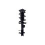 FCS Struts 2334489L Suspension Strut and Coil Spring Assembly