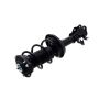 FCS Struts 2334489L Suspension Strut and Coil Spring Assembly
