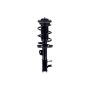 FCS Struts 2334489R Suspension Strut and Coil Spring Assembly