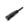 FCS Struts 2335527L Suspension Strut and Coil Spring Assembly